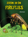 Cover image for Zoom In on Fireflies